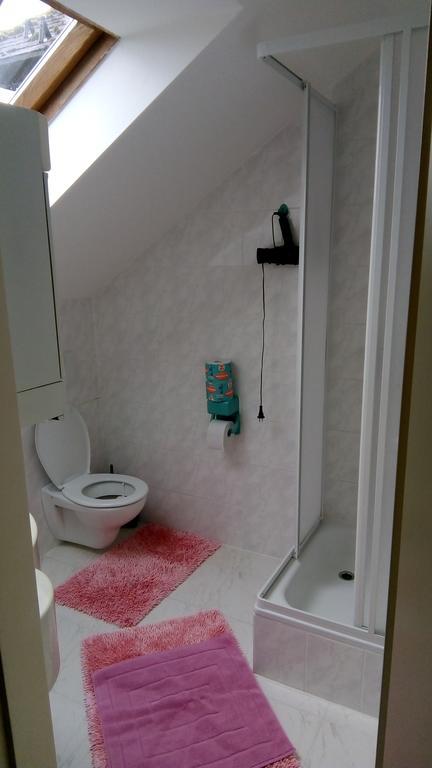 Apartmanydanielova Česká Lípa Extérieur photo