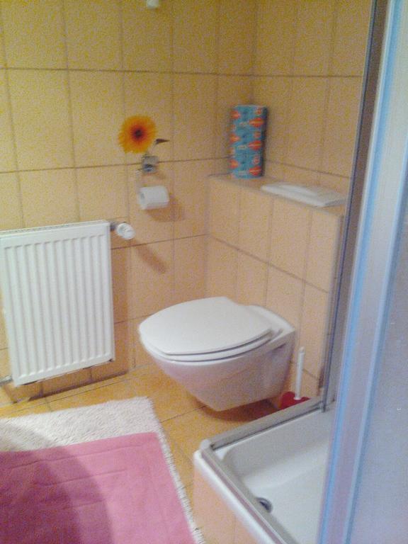 Apartmanydanielova Česká Lípa Extérieur photo